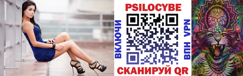 цена наркотик  Алушта  кракен как зайти  Галлюциногенные грибы Psilocybine cubensis 