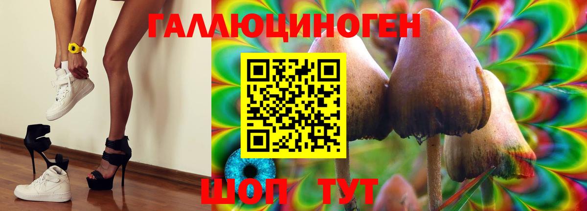 Алушта  Псилоцибиновые грибы Cubensis  Вход с VPN 